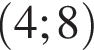 левая круглая скобка 4;8 правая круглая скобка