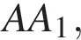 AA_1,